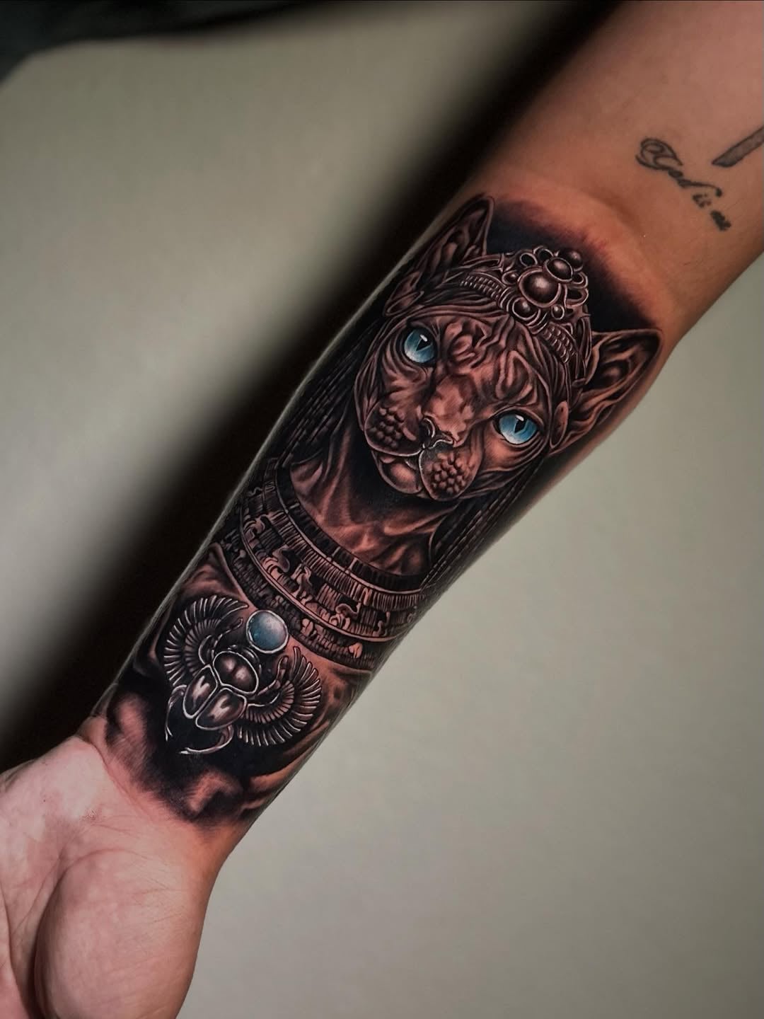 Bastet and scarab